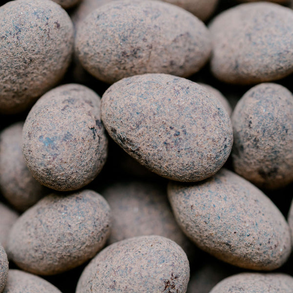 Close-up of dark chocolate almonds